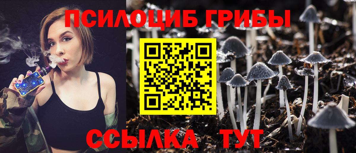 купить наркотики сайты  Вход с VPN  Чайковский  Псилоцибиновые грибы Psilocybe 