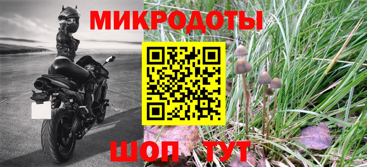Галлюциногенные грибы GOLDEN TEACHER Чайковский