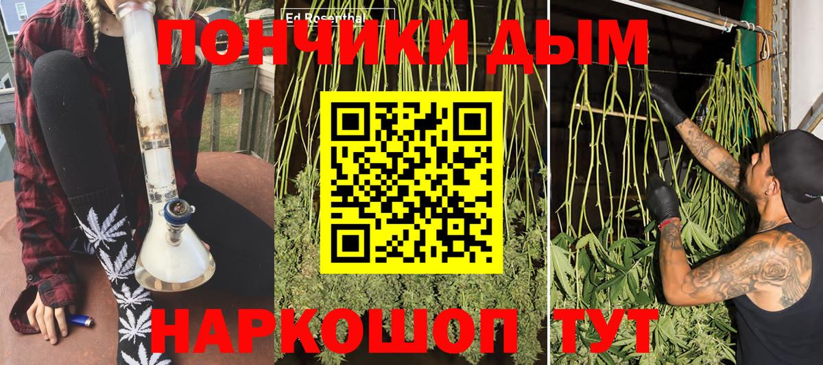 МАРИХУАНА индика Чайковский